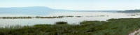 LakeNakuru_P4_2167_70_Panorama_11_4x1