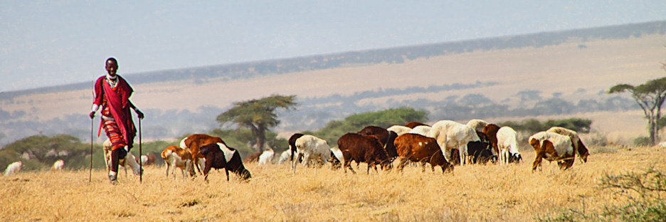Herders_5238.jpg