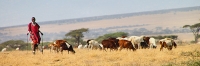 Herders_5238