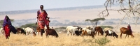 Herders_5239_m