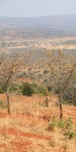 AkageraNatPark_2477_v