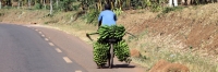 E_OnTheRoad_6523