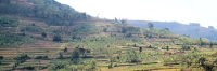 N_Terraces_6071