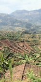 N_Terraces_P4_6076_v