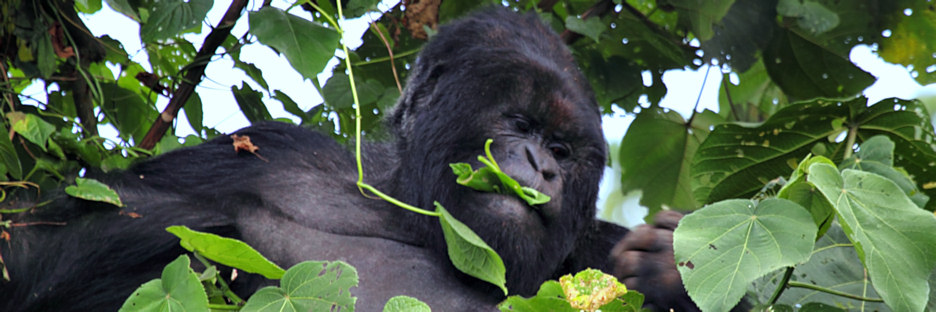KwitondaGroup_6215_m_4_F.jpg