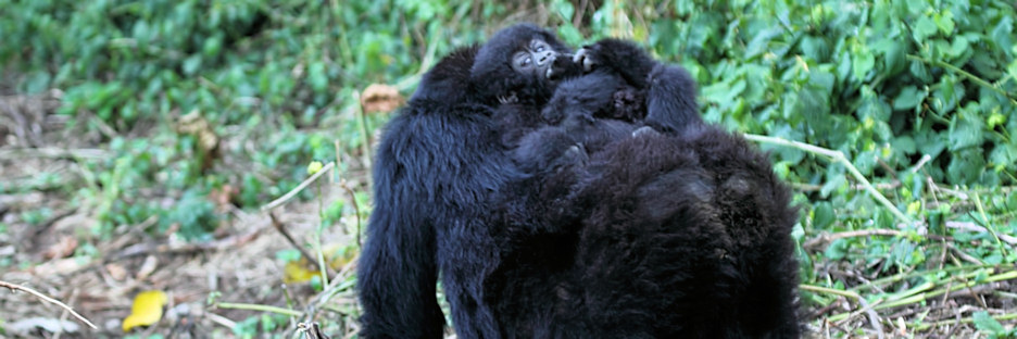 KwitondaGroup_6216_F.jpg