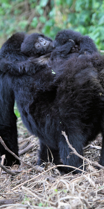 KwitondaGroup_6218_v.jpg