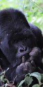 KwitondaGroup_06309_F_v