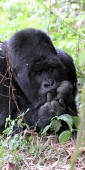 KwitondaGroup_06310_F_v