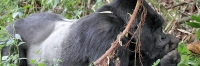 KwitondaGroup_06312_F
