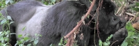 KwitondaGroup_06314_F