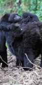 KwitondaGroup_6218_v
