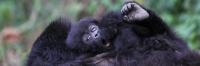 KwitondaGroup_6219_F