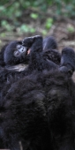 KwitondaGroup_6220_F_v