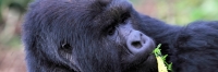 KwitondaGroup_6225_F