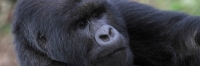 KwitondaGroup_6227_F