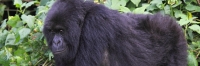 KwitondaGroup_6229_F