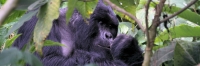 KwitondaGroup_6234_F