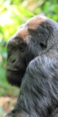 KwitondaGroup_6256_v