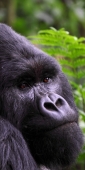 KwitondaGroup_6265_F_v