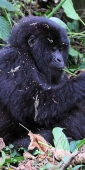 KwitondaGroup_6273_F_v