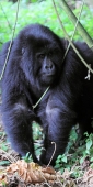 KwitondaGroup_6302_v