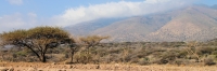 FoggyHighlands_4811