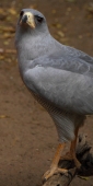 ArushaReptilePark_4611
