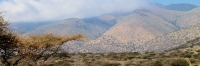FoggyHighlands_4807