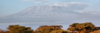 KilamanjaroFromAmboseli_1964