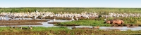 Tanzania_LakeManyara_HippoPool_P3_4745_47_Panorama_12_4x1