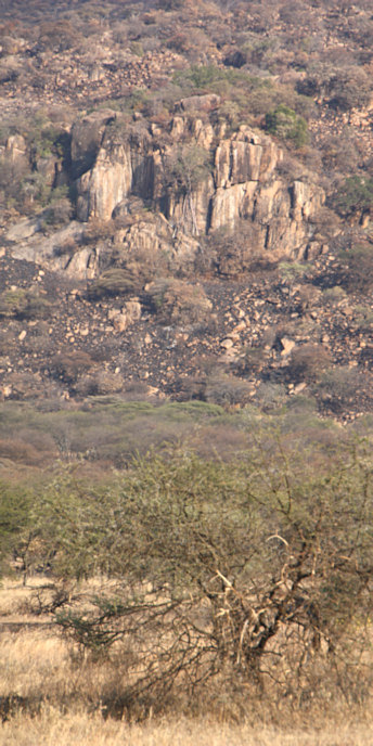 Landscape_1773_v.jpg