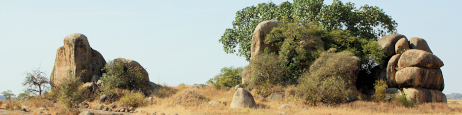 Landscape_1791_4x1.jpg