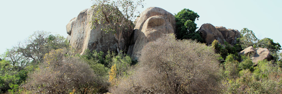 Landscape_1808.jpg
