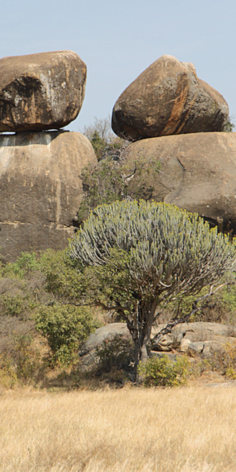 Landscape_1826_v.jpg