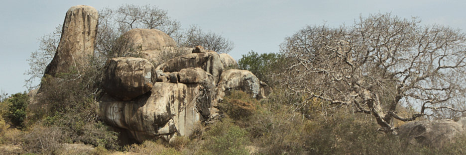 Landscape_1849.jpg
