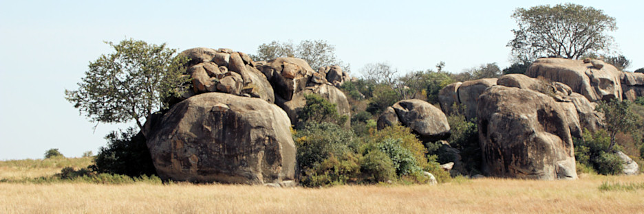 Landscape_P2_1811.jpg