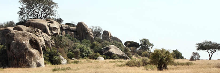 Landscape_P2_1812.jpg