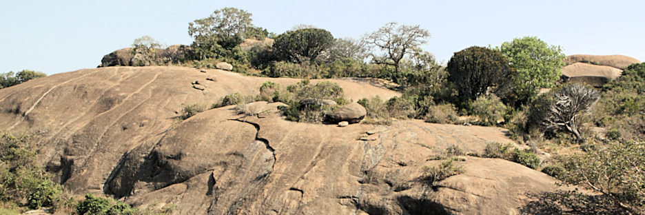 Landscape_P3_1804_m_a.jpg