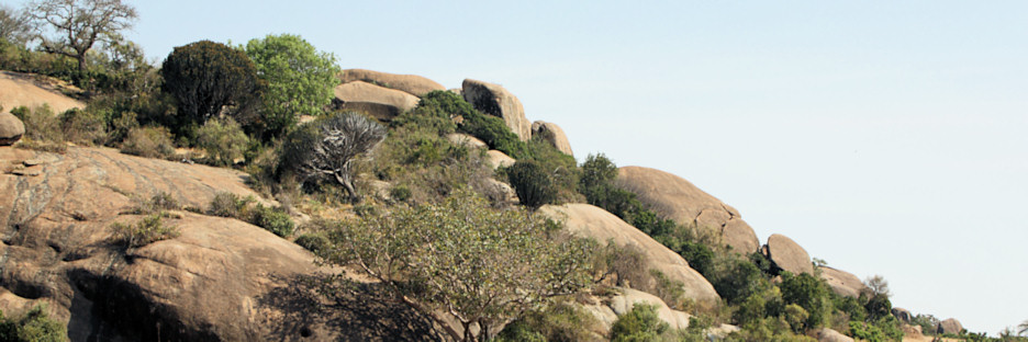 Landscape_P3_1805.jpg