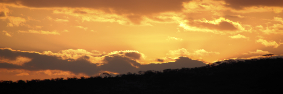 Sunset_1887.jpg