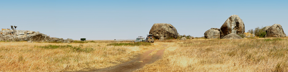 Tanzania_Serengeti_Lions_P4_4218_21_Panorama_12_4X1.jpg