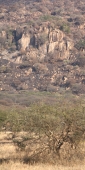 Landscape_1773_v