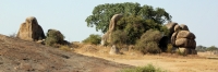 Landscape_1787