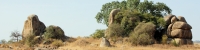 Landscape_1791_4x1
