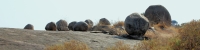 Landscape_1792_4x1