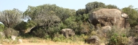 Landscape_1809