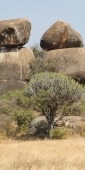 Landscape_1826_v