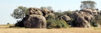 Landscape_P2_1811