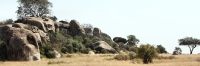 Landscape_P2_1812